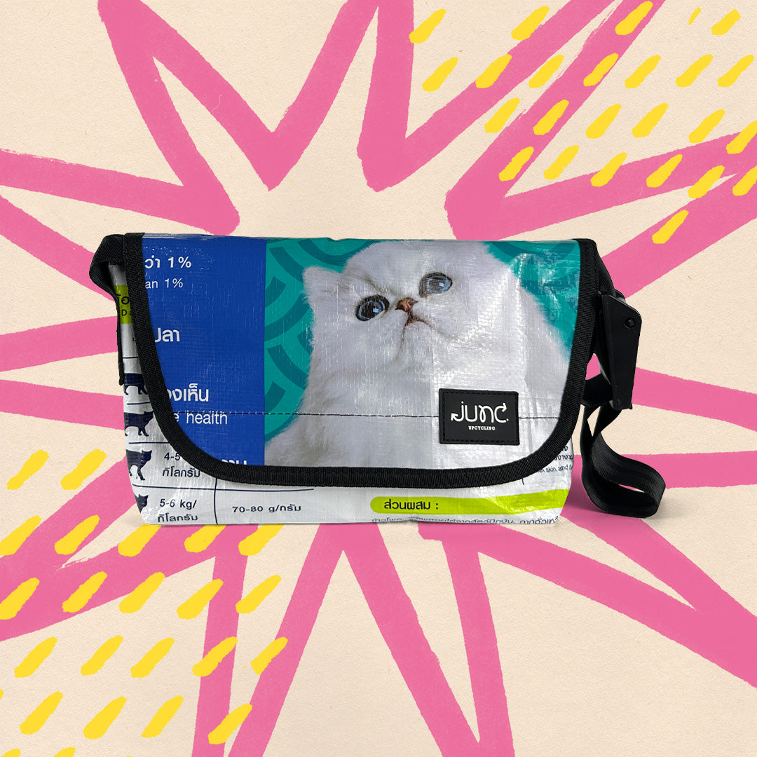 Belts OleC Fanny Pack