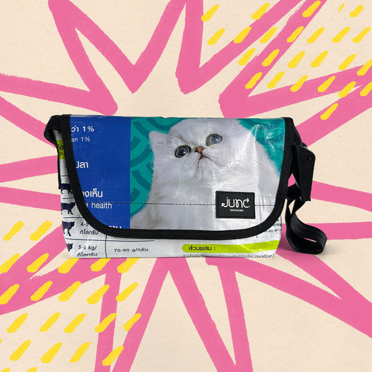 Belts OleC Fanny Pack