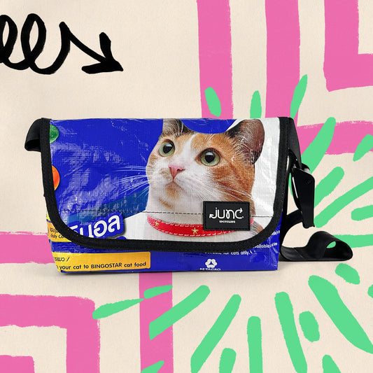 Belts BIN-C Fanny Pack