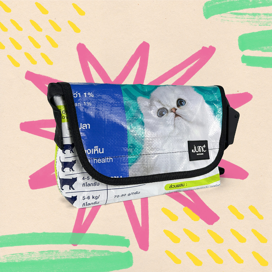 Belts OleC Fanny Pack